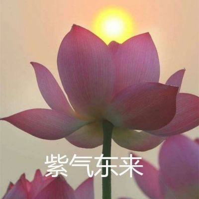 剑荡仙途变态版送vip下载